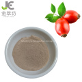 vitamin C/vc 45% rose hip extract powder